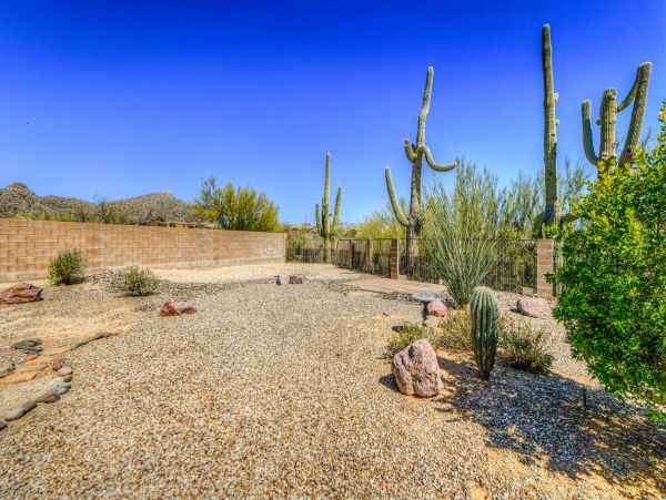 Tucson Home 1025103