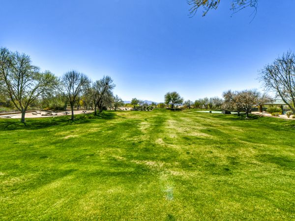 Tucson Home 1025103