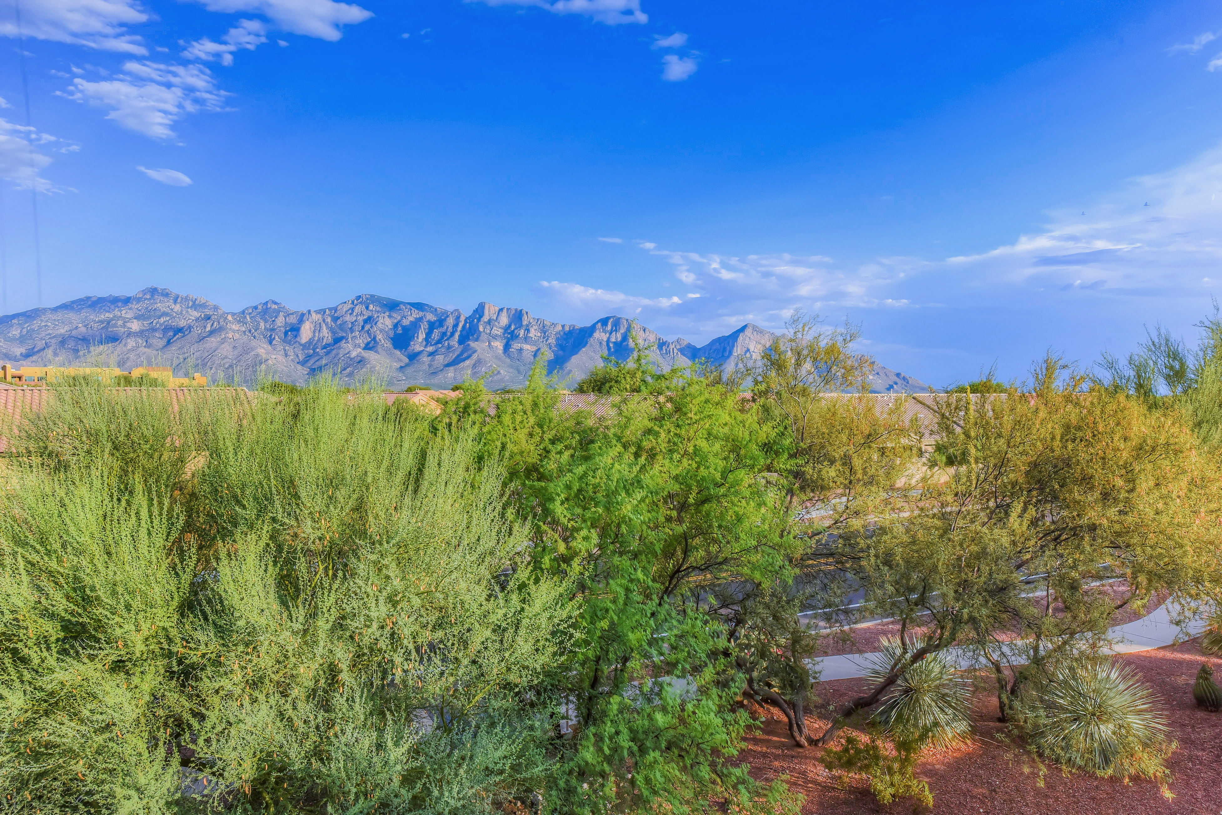 Tucson Home 1025108