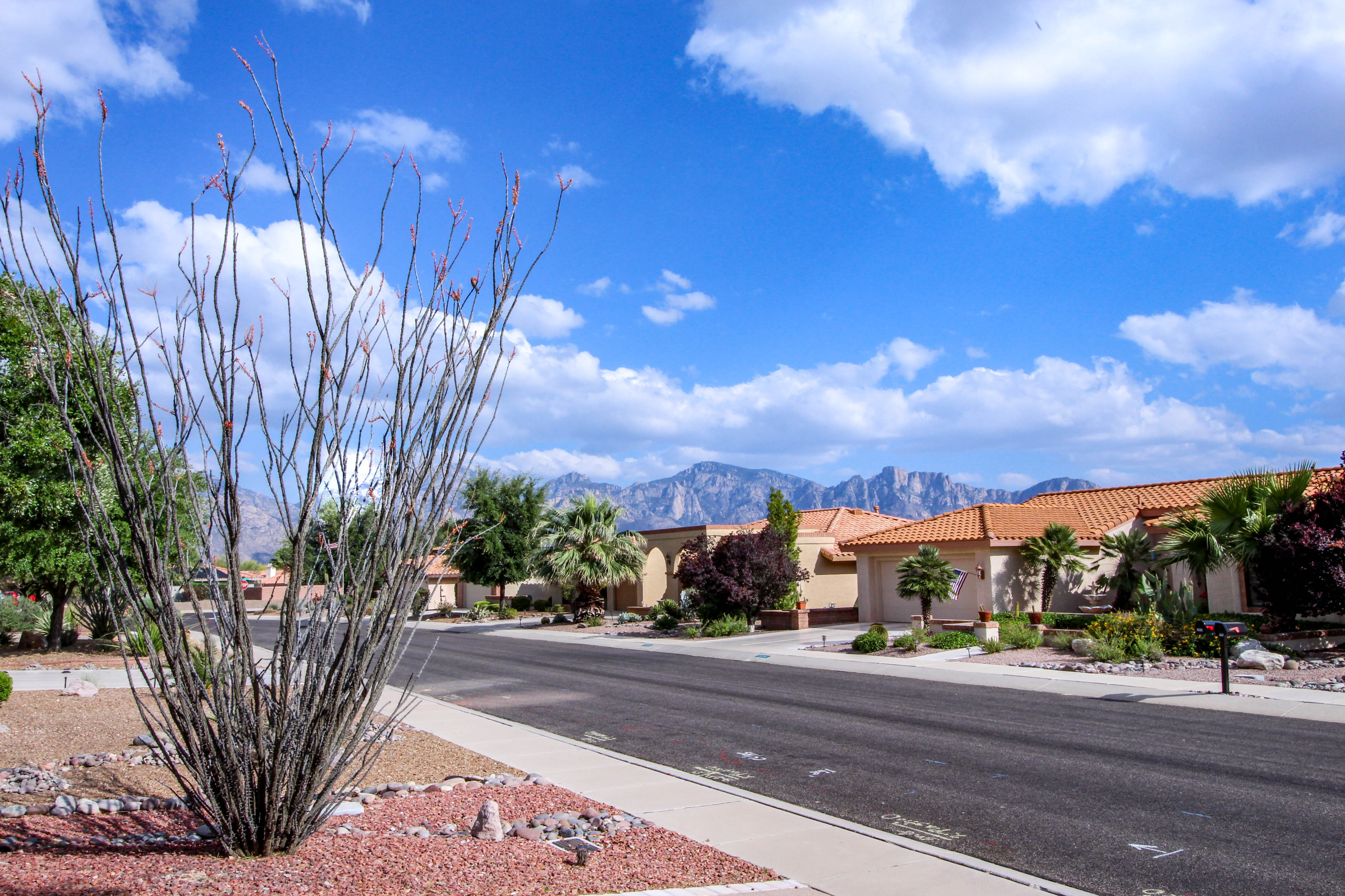 Tucson Home 1025119