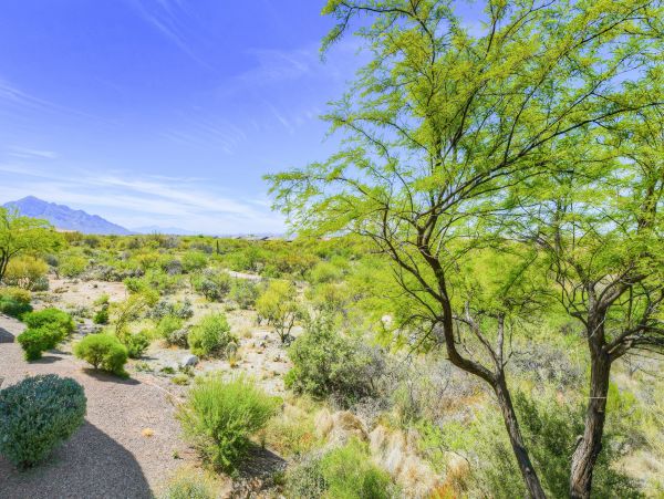 Tucson Home 1025120