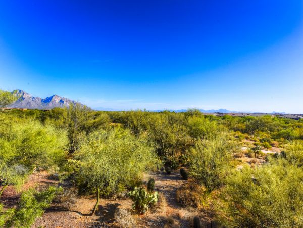 Tucson Home 1025122