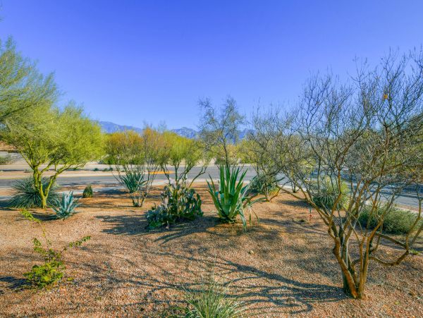 Tucson Home 1025127