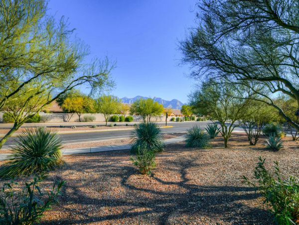 Tucson Home 1025127
