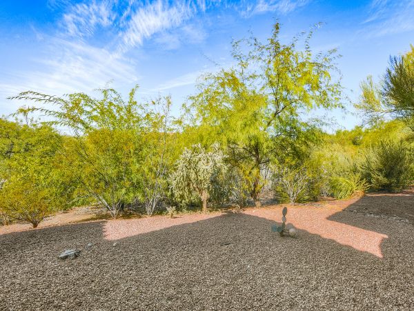Tucson Home 1025136