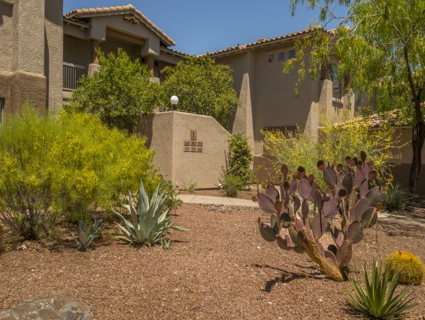 Tucson Home 1025146