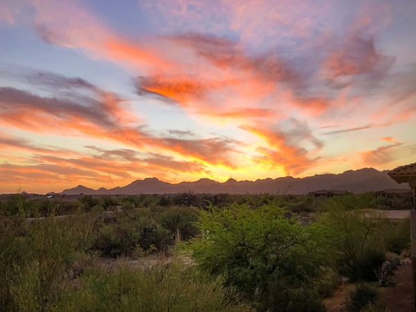 Tucson Home 1025150