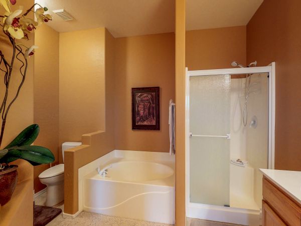 Tucson Home 1025166