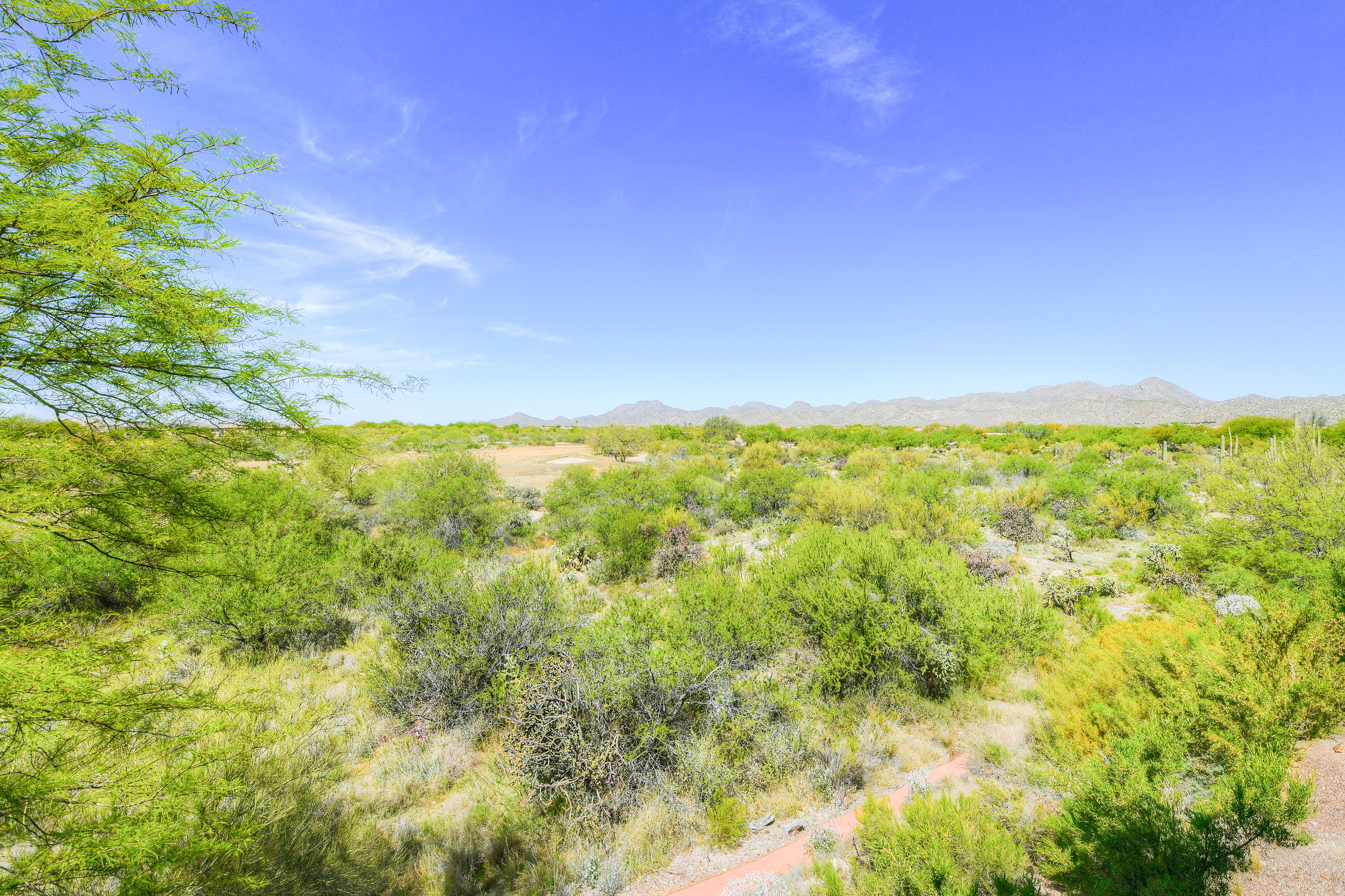 Tucson Home 1025174
