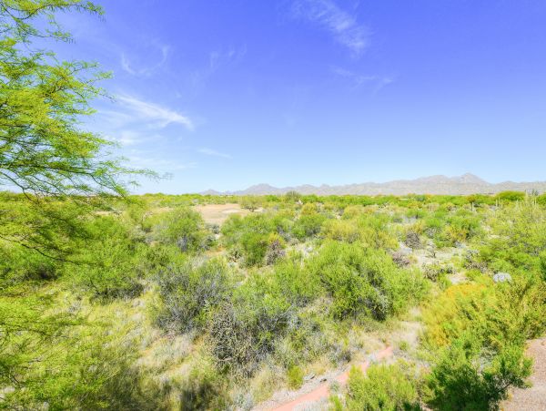 Tucson Home 1025175