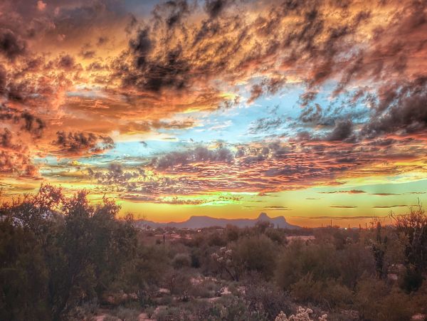 Tucson Home 1025182