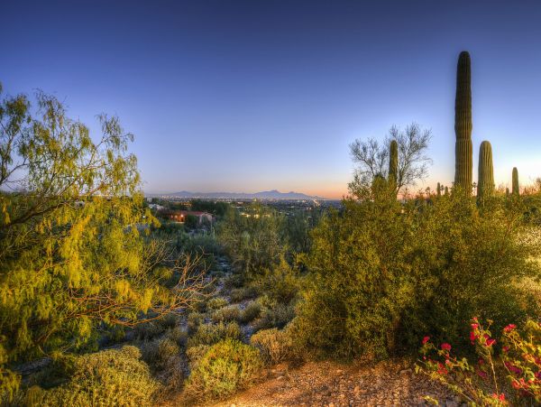 Tucson Home 1025184