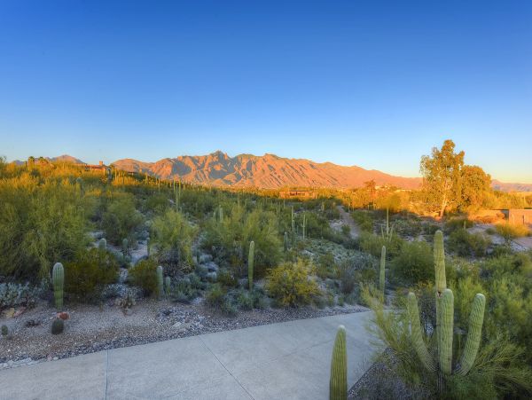 Tucson Home 1025184