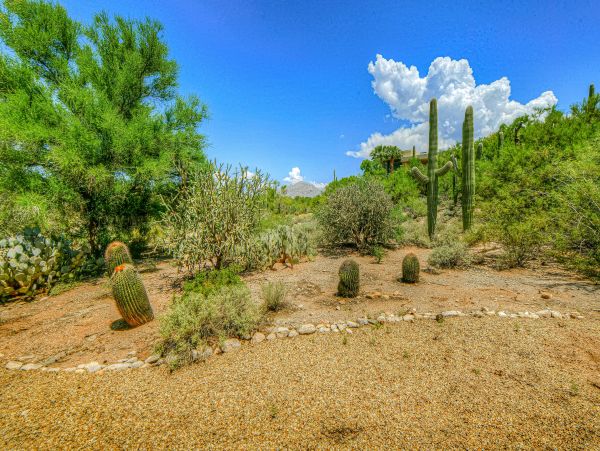 Tucson Home 1025186