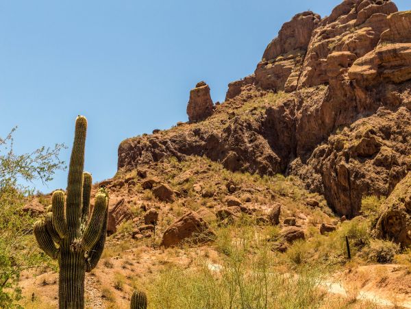Tucson Home 1025193