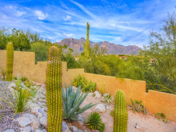 Tucson Home 1025197