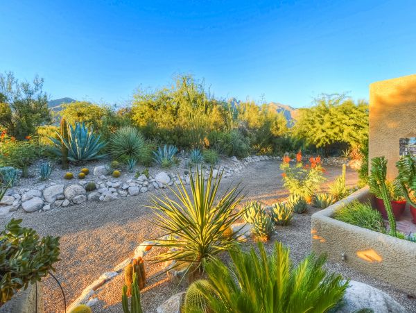 Tucson Home 1025197