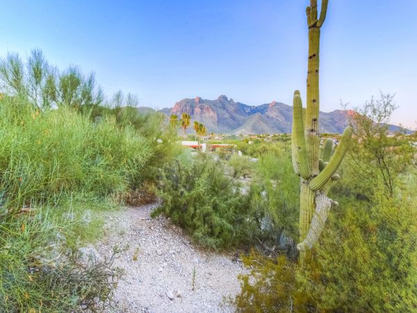 Tucson Home 1025197
