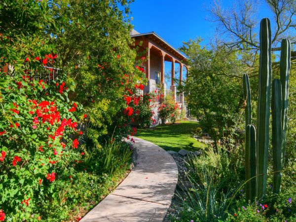 Tucson Home 1025209
