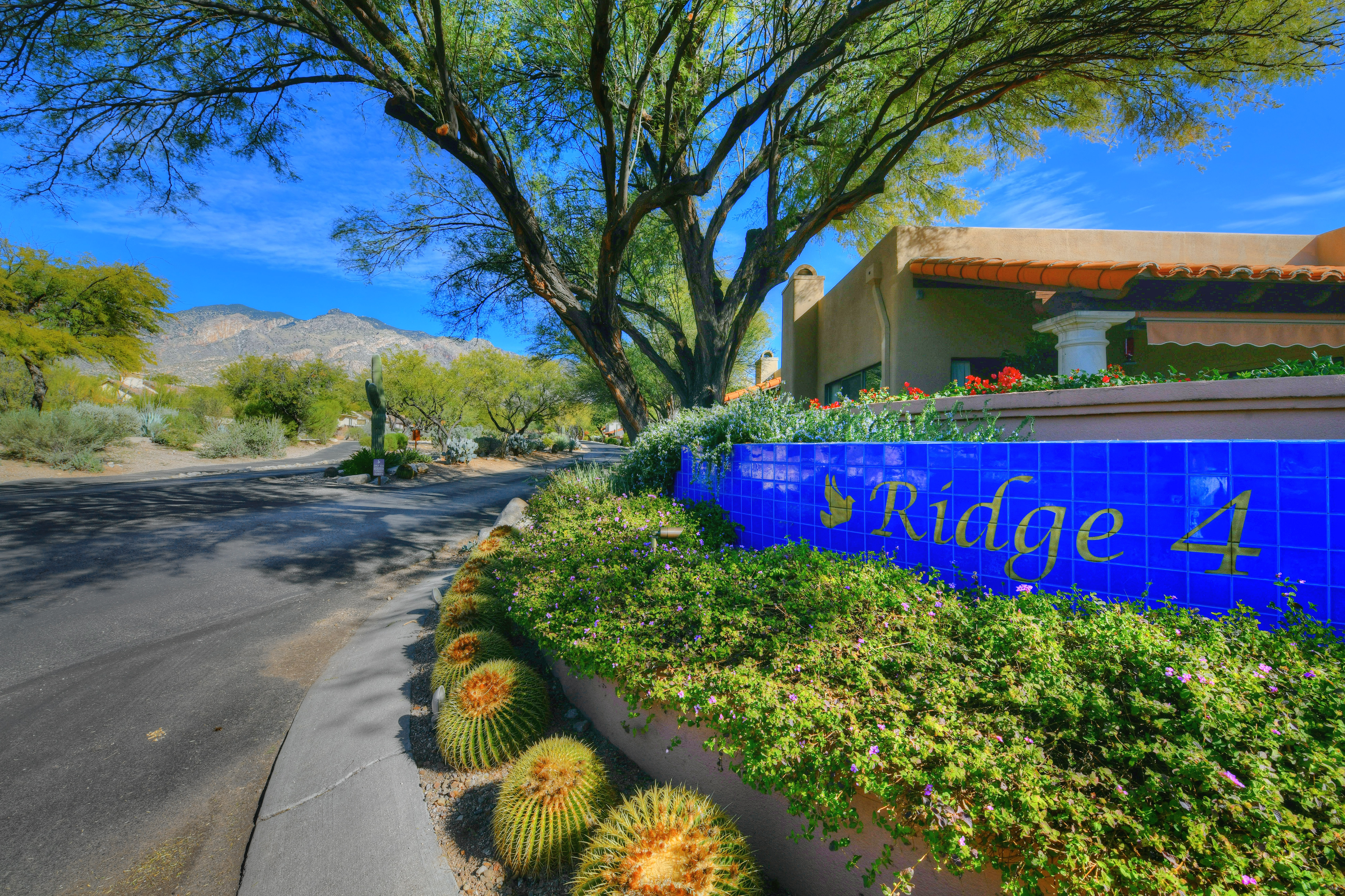 Tucson Home 1025213