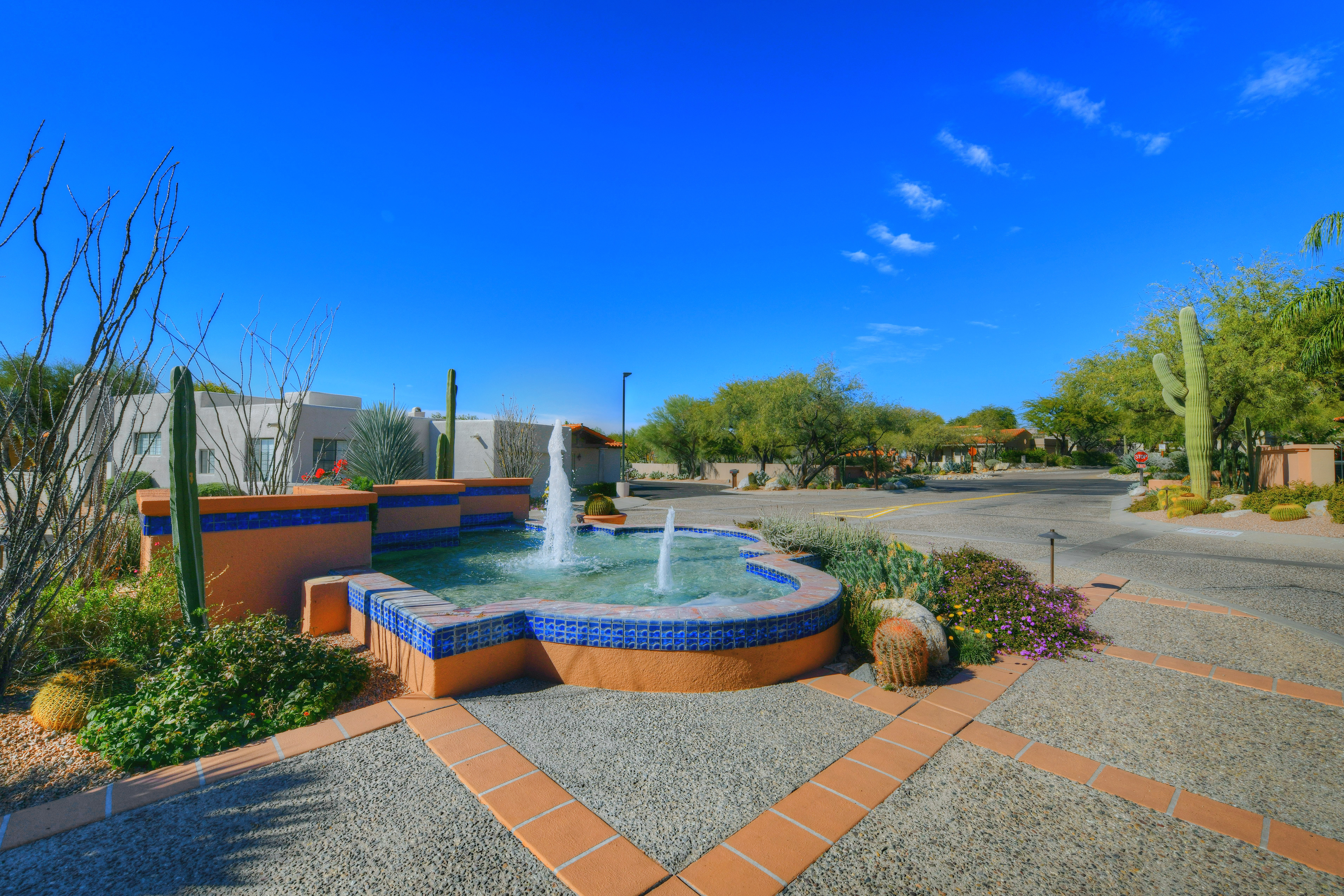 Tucson Home 1025213