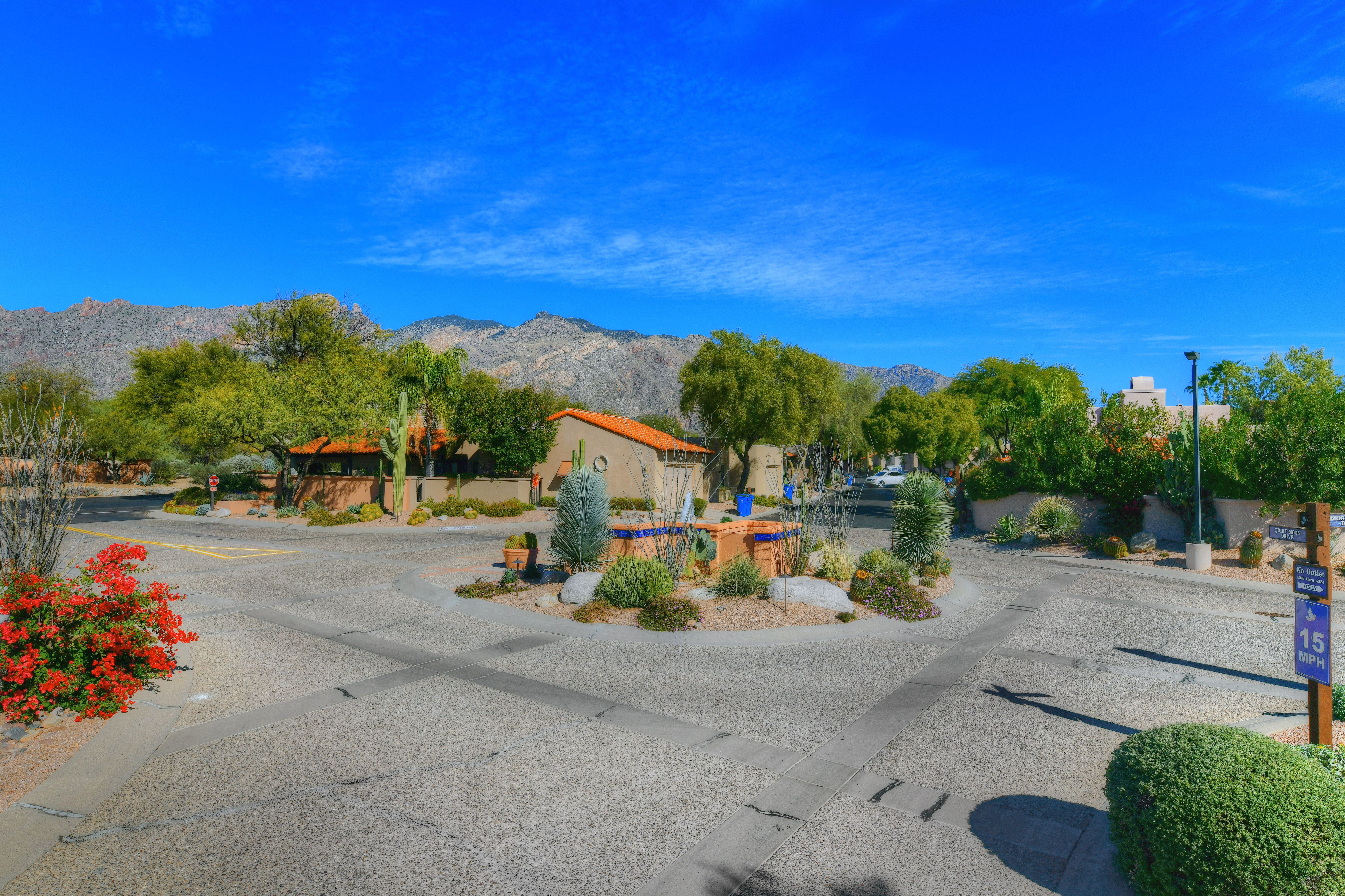 Tucson Home 1025213