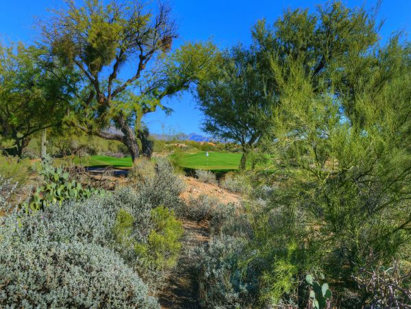 Tucson Home 1025213
