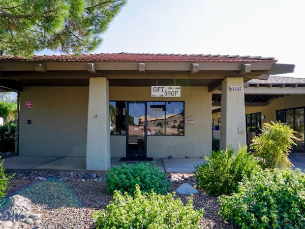Tucson Home 1025217