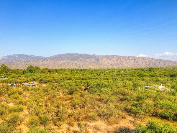 Tucson Home 1025221