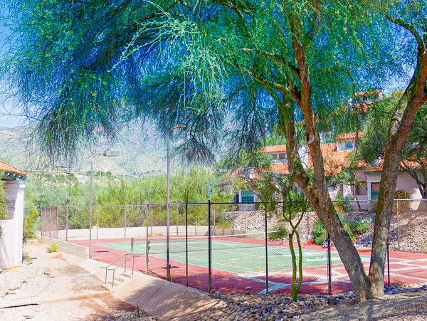 Tucson Home 1025238
