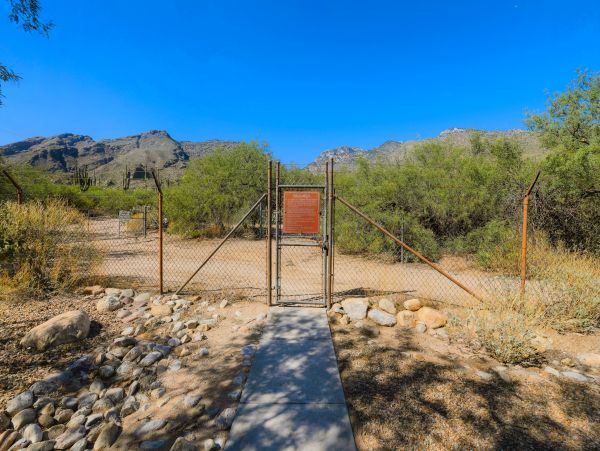 Tucson Home 1025240