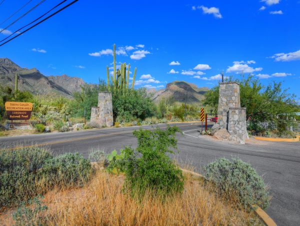 Tucson Home 1025240