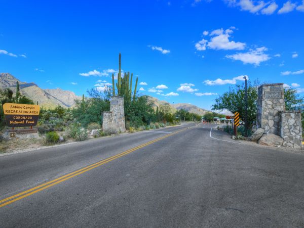 Tucson Home 1025240