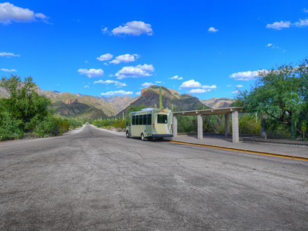 Tucson Home 1025240