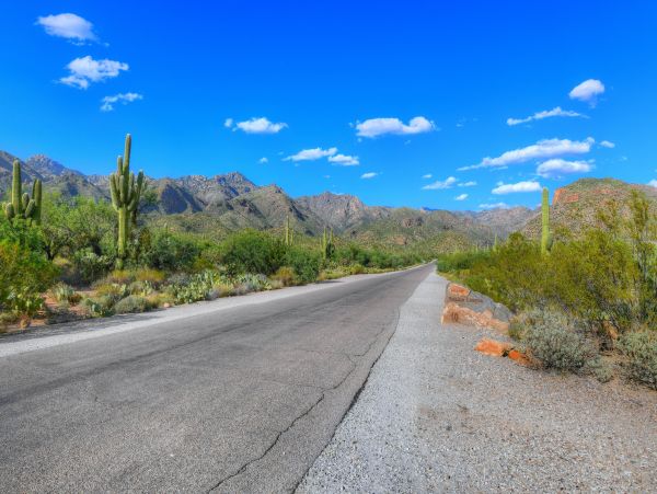 Tucson Home 1025240