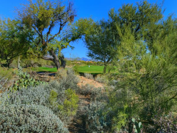 Tucson Home 1025240