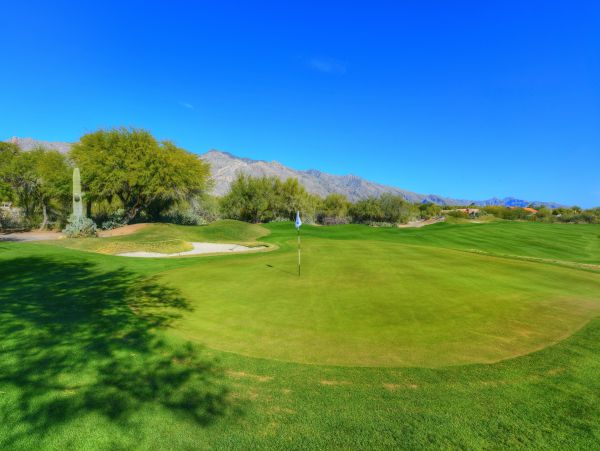 Tucson Home 1025240