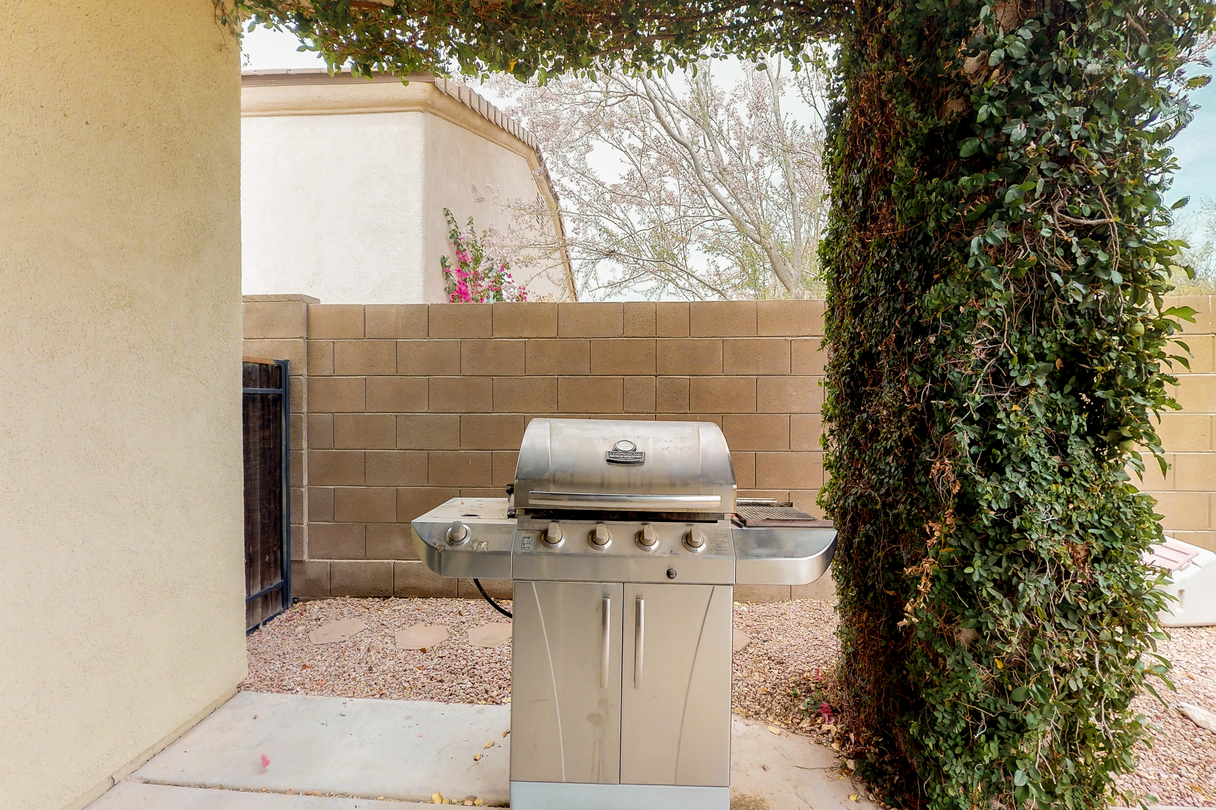 Tucson Home 1025241