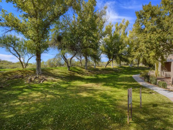 Tucson Home 1025244