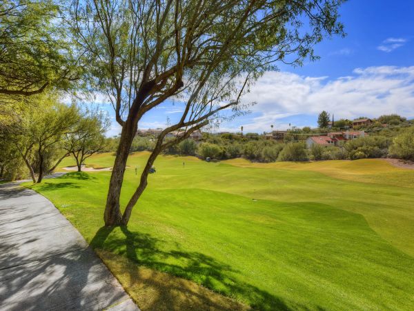 Tucson Home 1025244
