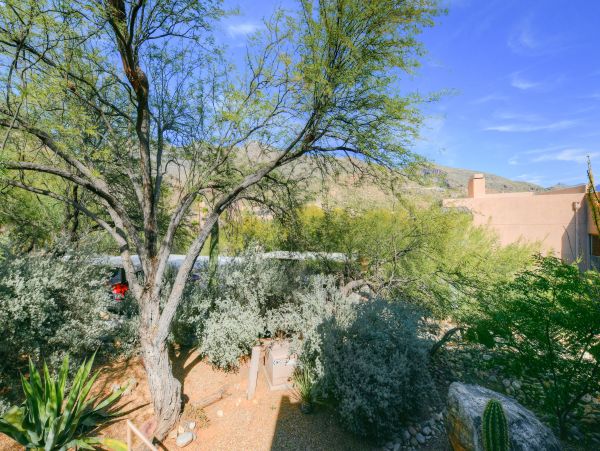 Tucson Home 1025245