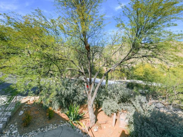 Tucson Home 1025245