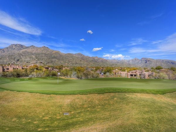 Tucson Home 1025247