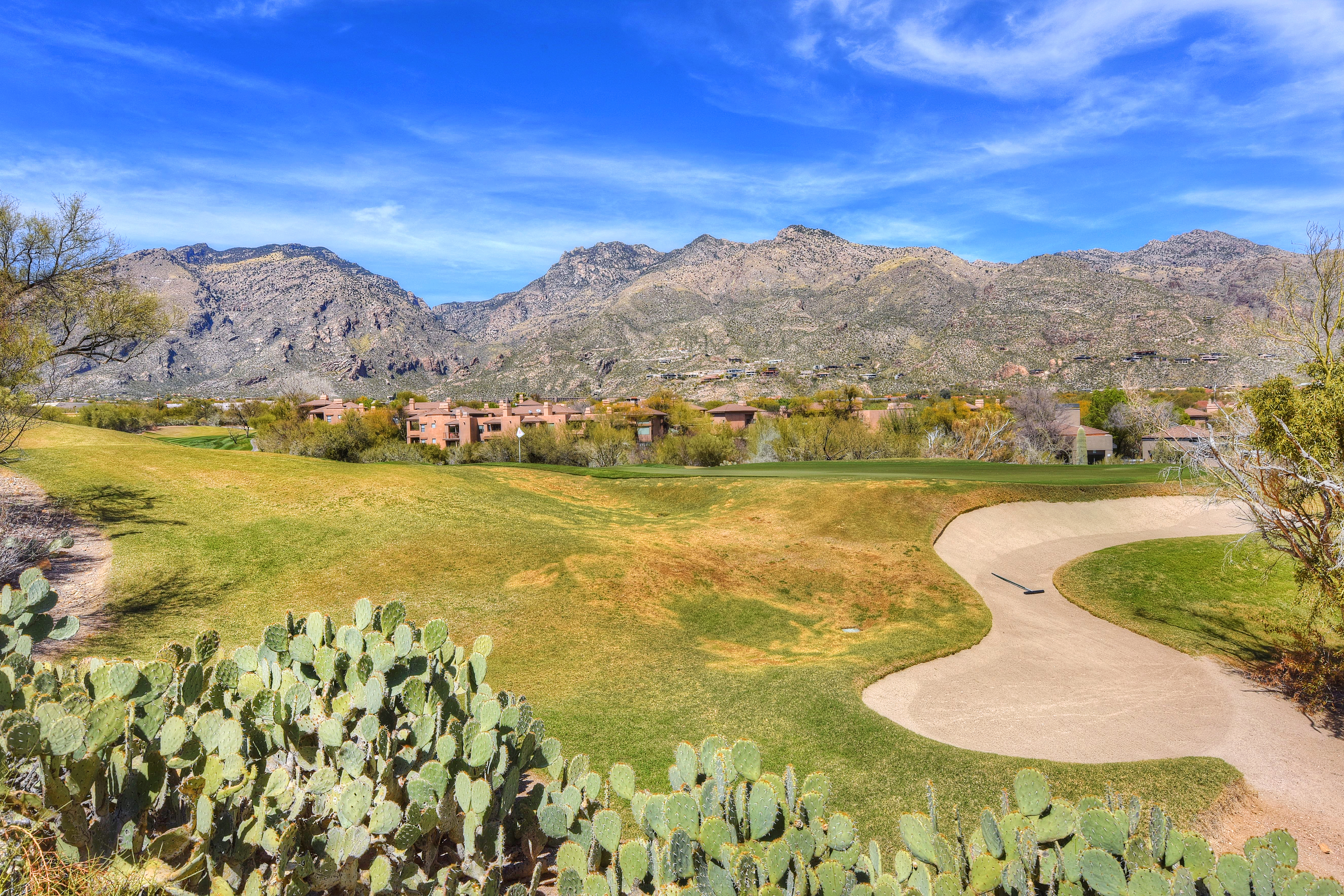 Tucson Home 1025247