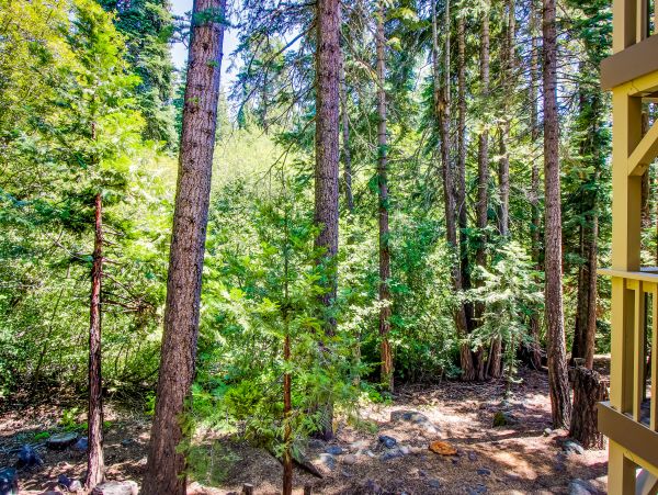 Lake Tahoe North Shore Home 1025255