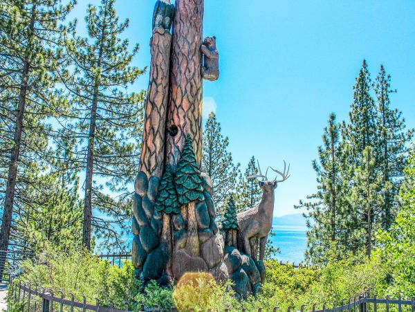 Lake Tahoe North Shore Home 1025258
