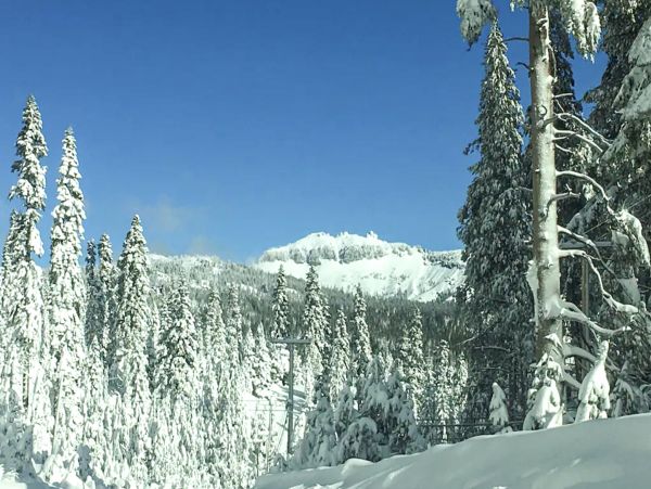 Lake Tahoe North Shore Home 1025267