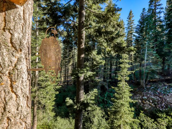 Lake Tahoe North Shore Home 1025273
