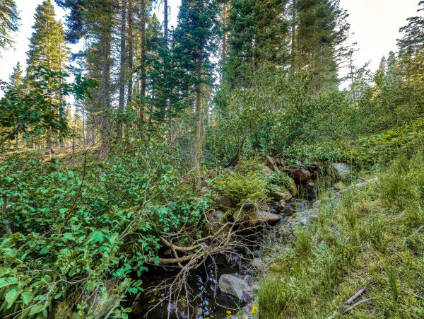 Lake Tahoe North Shore Home 1025273