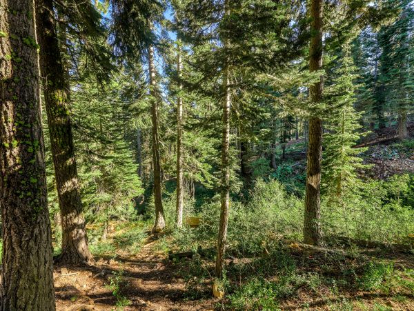 Lake Tahoe North Shore Home 1025273